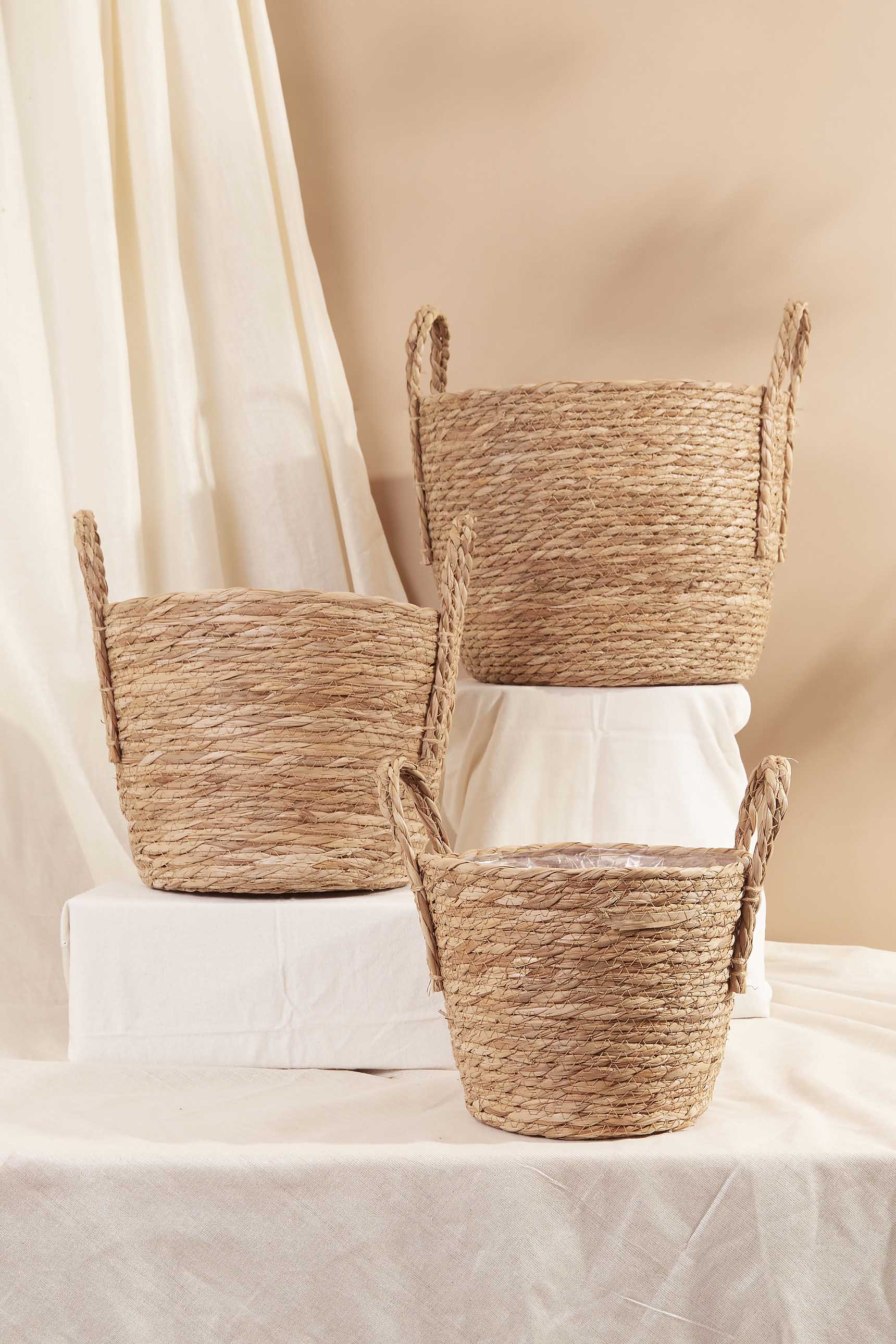 Baskets montants hot sale