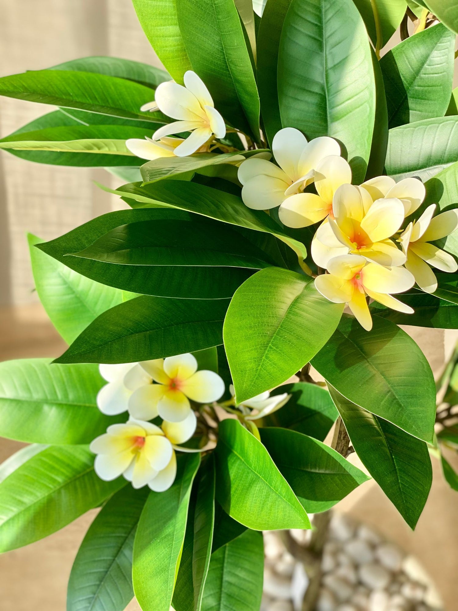 Artificial Frangipani Bloom Plant -  4 Feet