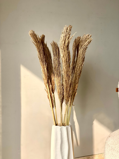 Artificial Foxtail Stem - Set of 8