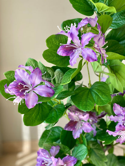 Artificial Lilac Bauhinia Plant - 4 Feet