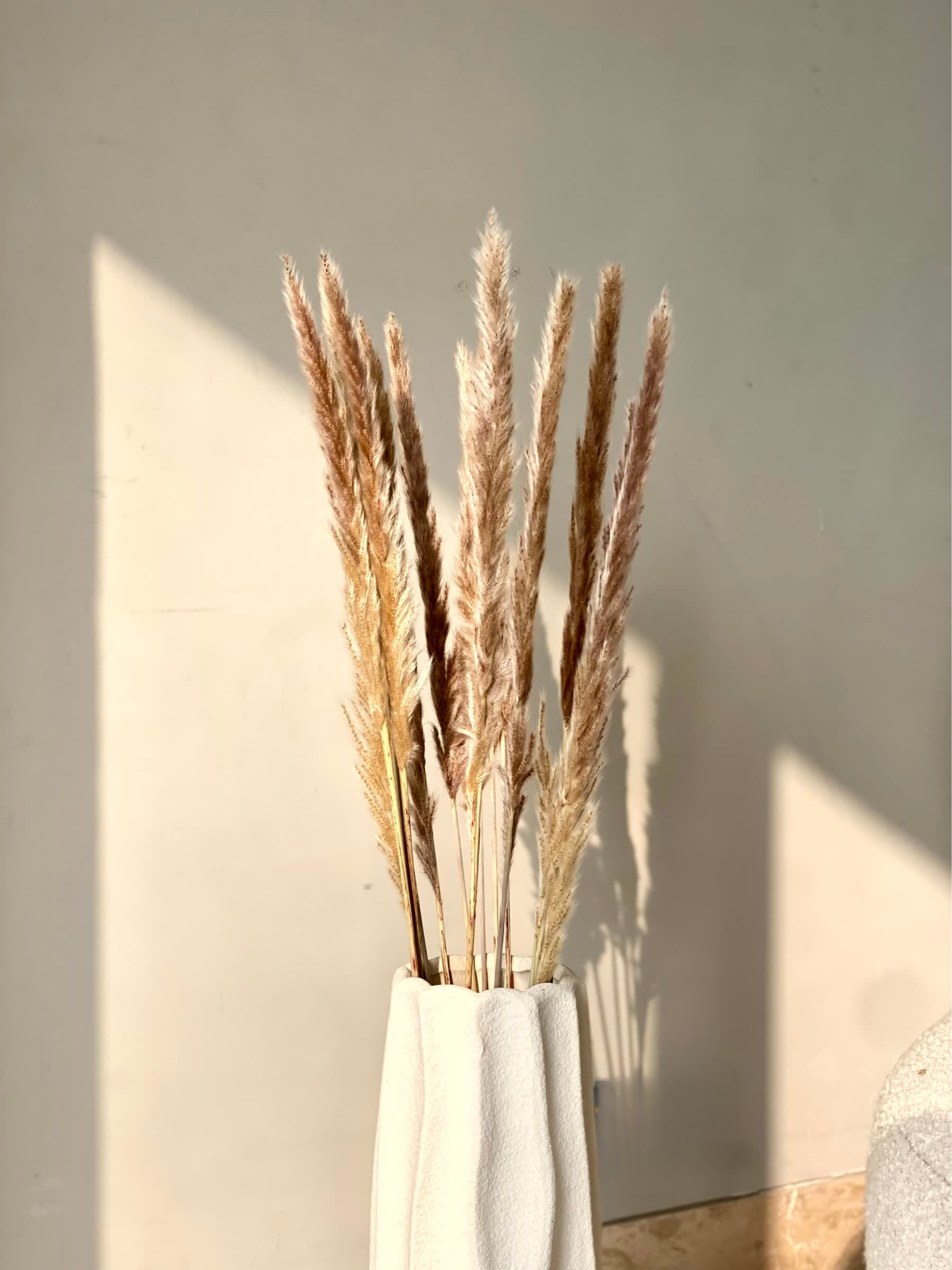 Artificial Pampas Stem - Set of 12