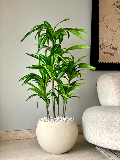 Artificial Botanic Dracaena Plant -  4.5 Feet