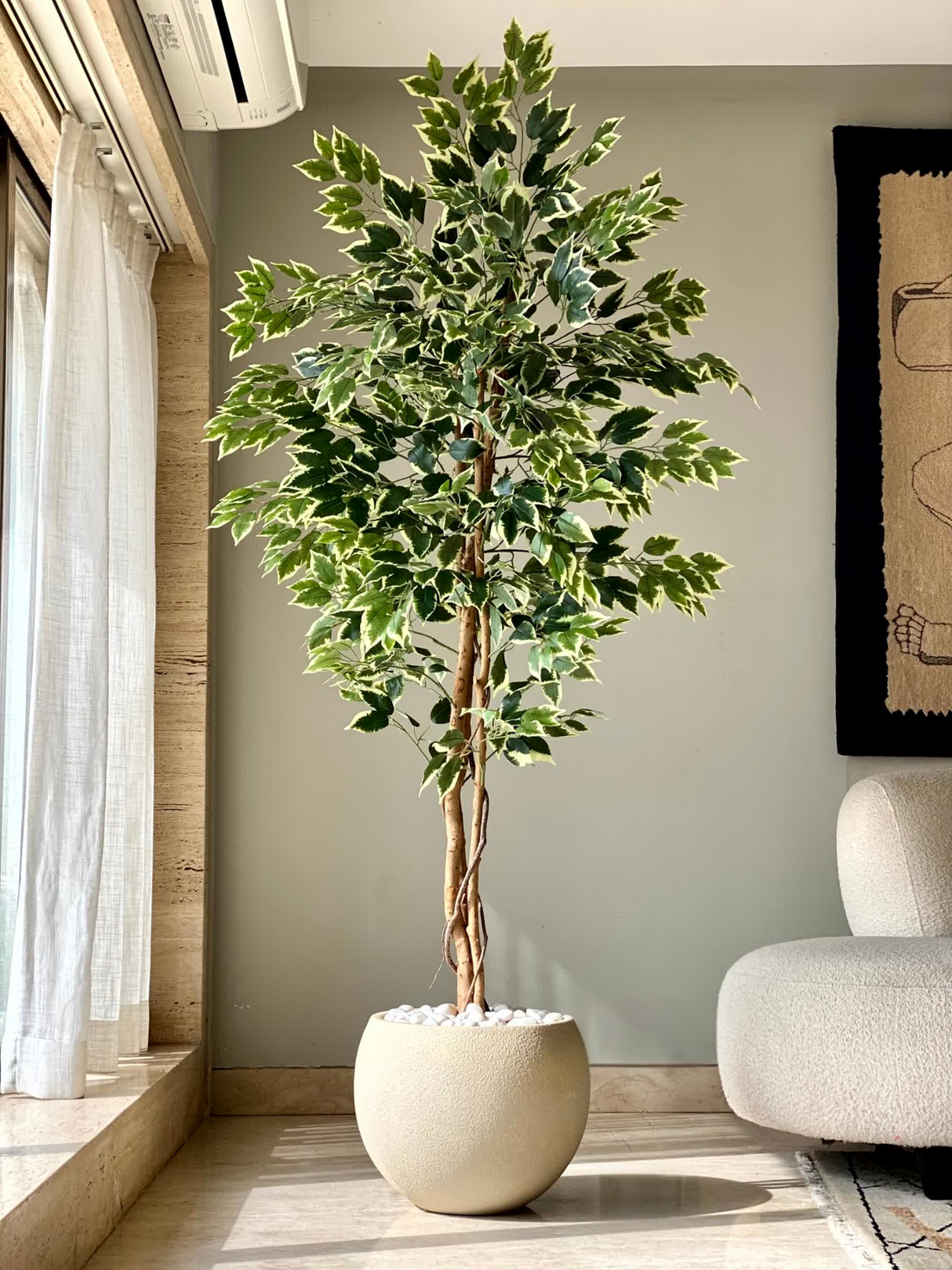 Artificial Variegated Dried Ficus Plant - 6 Feet