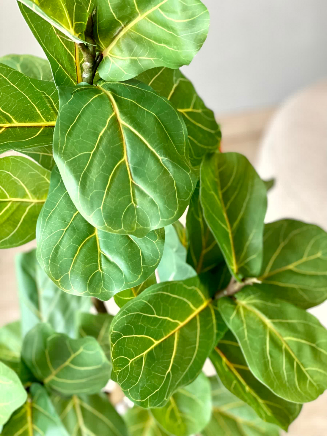 Artificial Fiddle Fig Plant - 4 Feet