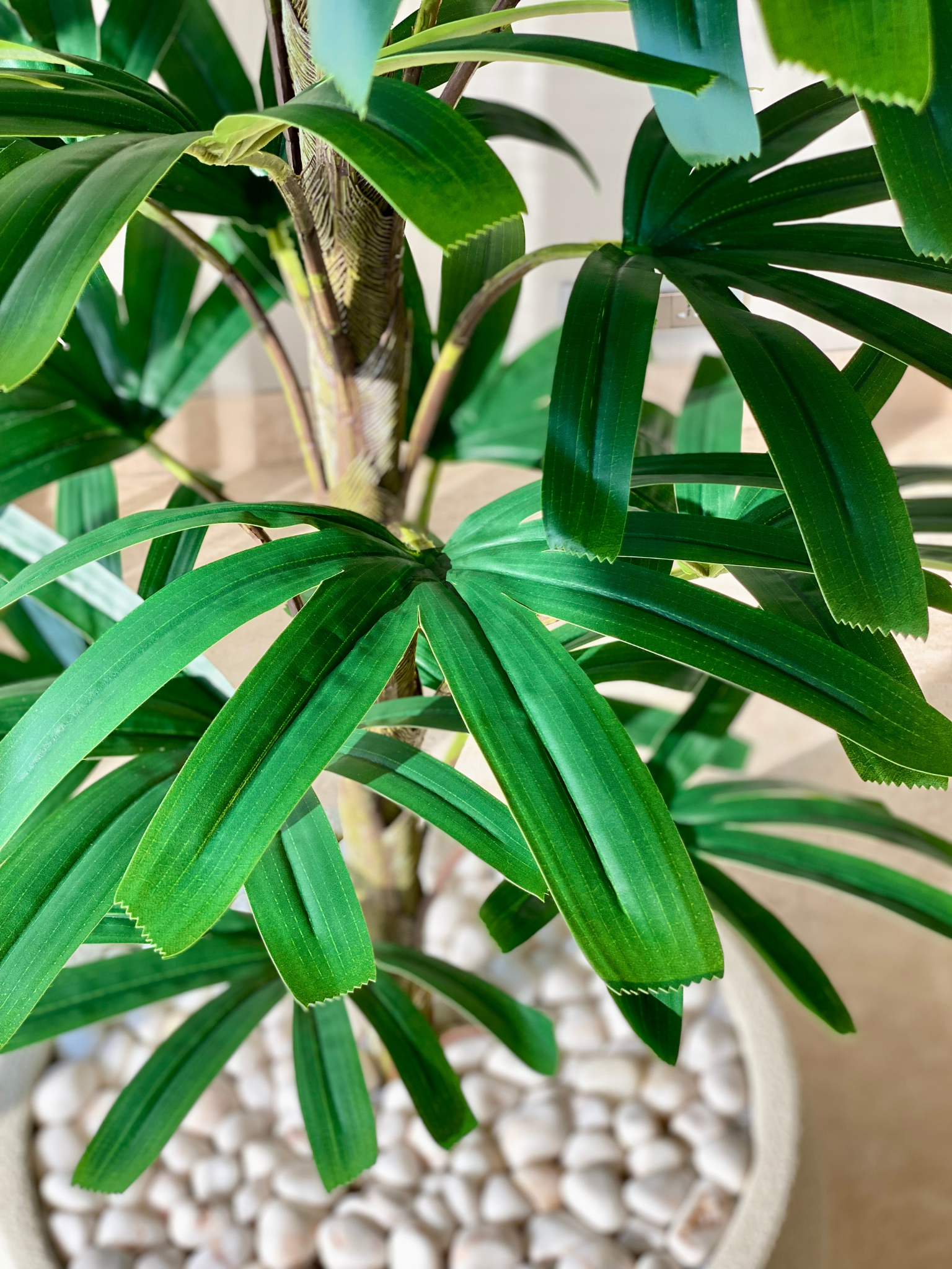 Artificial Rhapis Palm Plant -  6 Feet