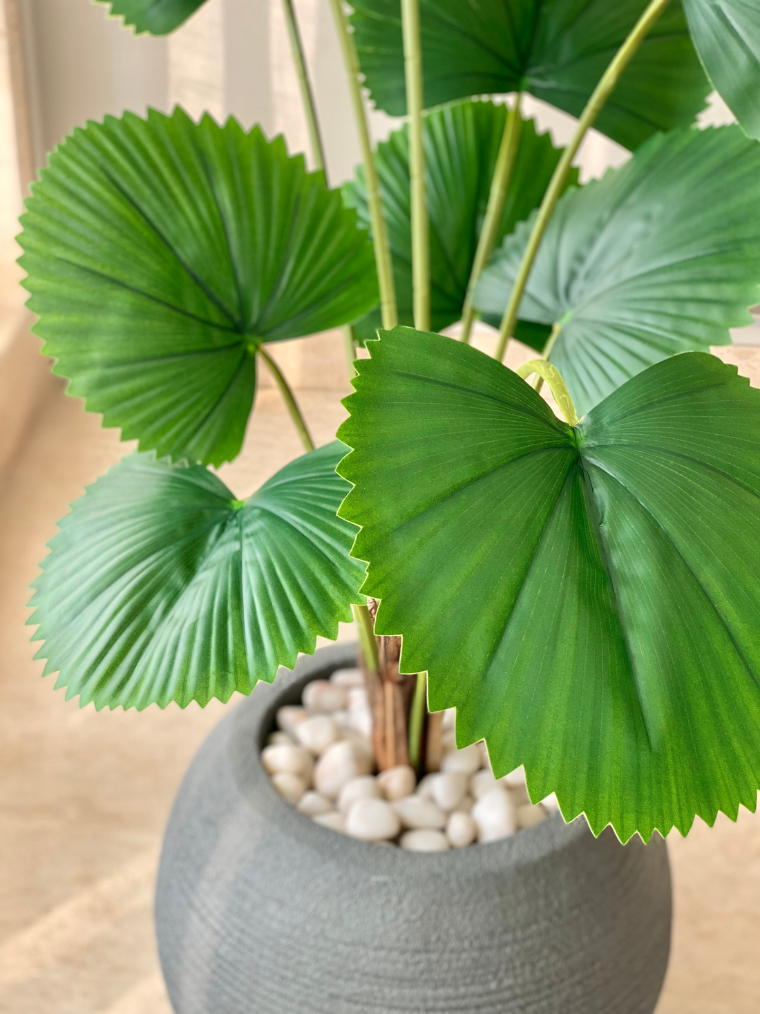 Artificial Licuala Grandis Plant - 3 Feet