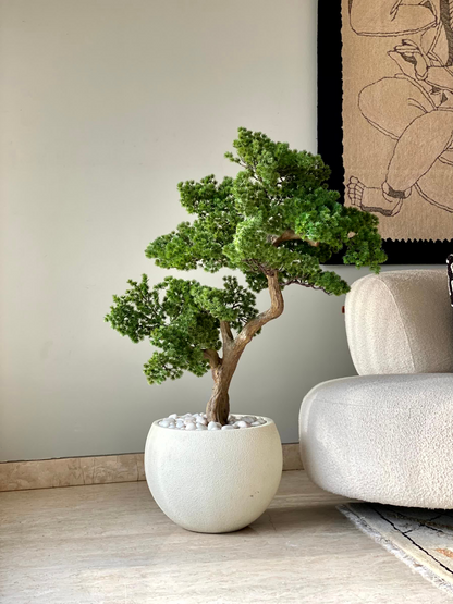 Artificial Pine Bonsai Plant - 3.5 Feet