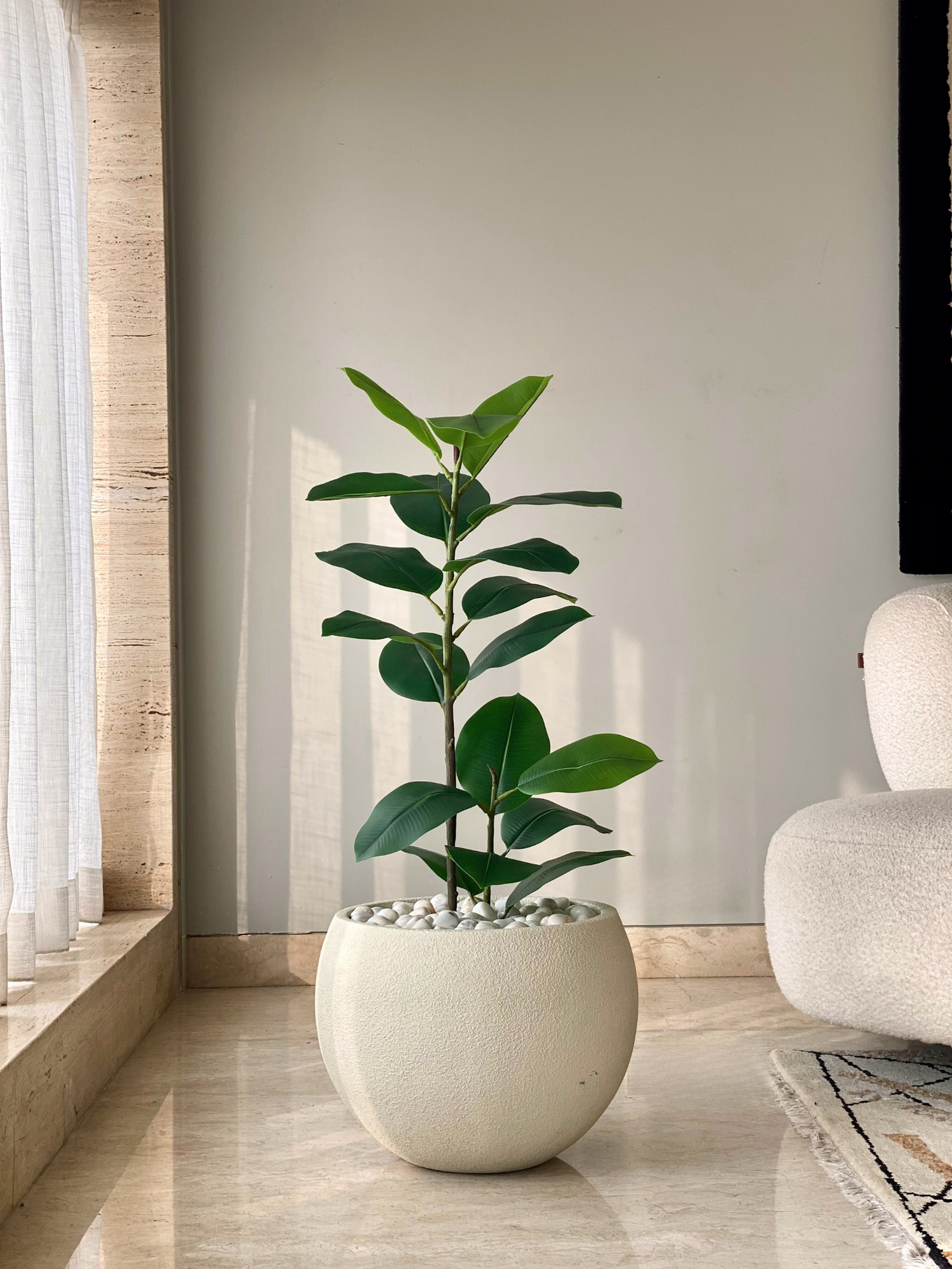 Artificial Ficus Elastica Plant - 3 Feet