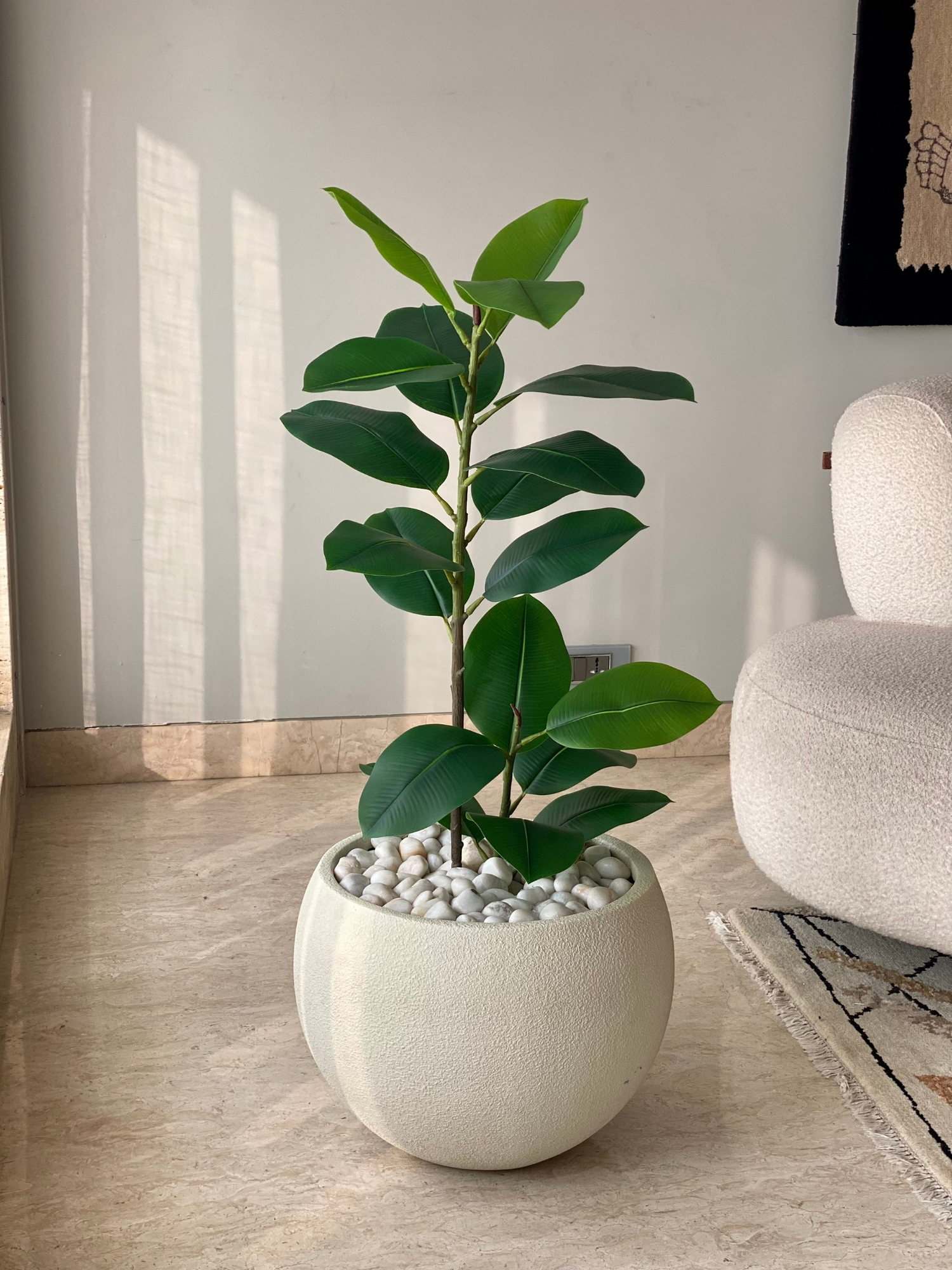 Artificial Ficus Elastica Plant - 3 Feet