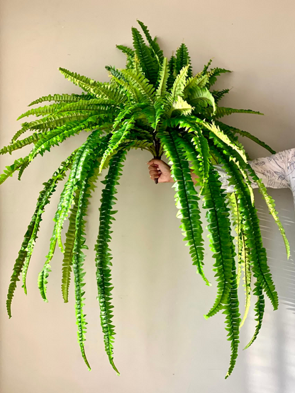 Artificial Boston Fern Plant - 3.5 Feet