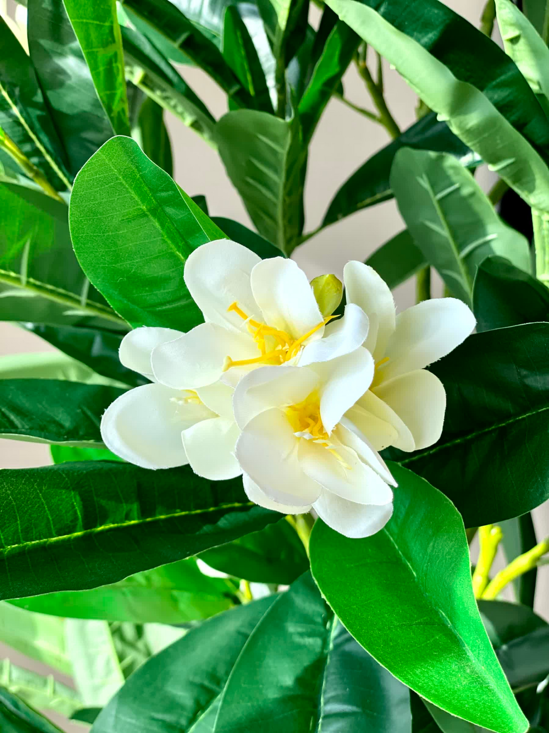 Artificial Frangipani Ivory Plant - 6 Feet