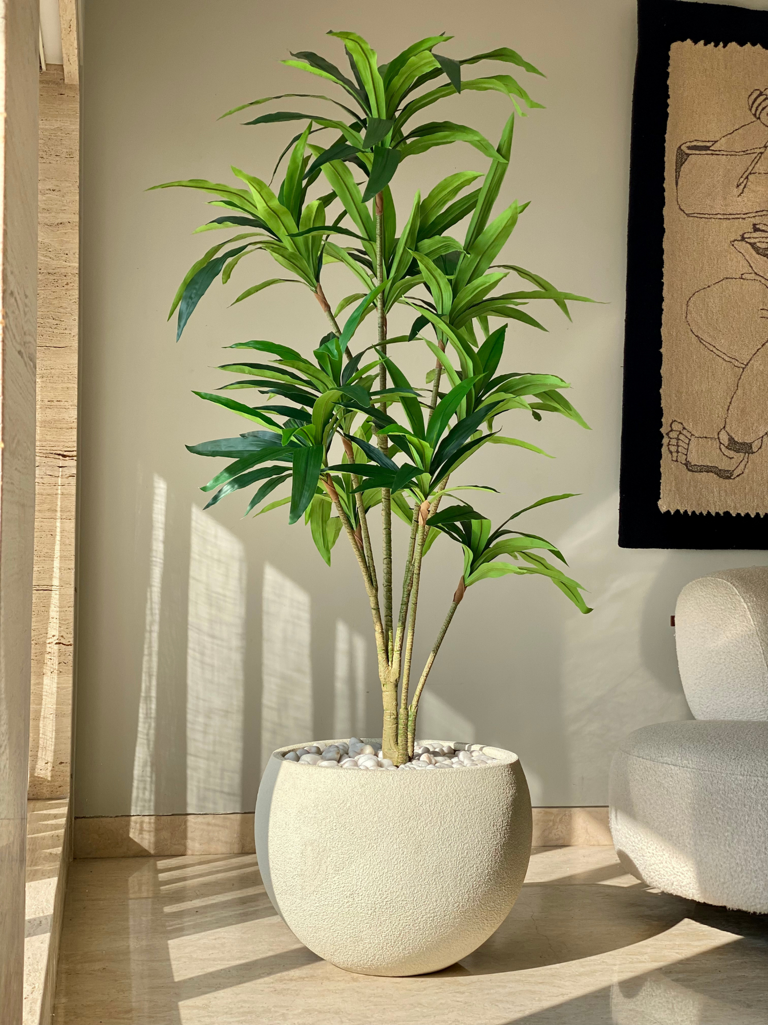 Artificial Botanic Dracaena Plant -  6 Feet