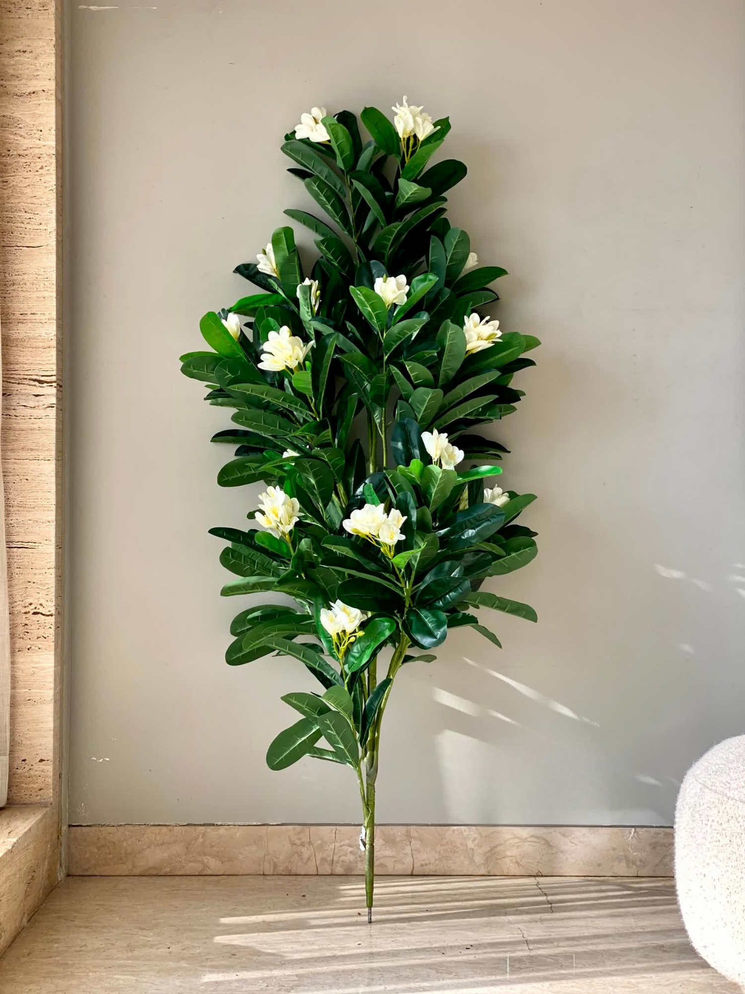 Artificial Frangipani Ivory Plant - 6 Feet