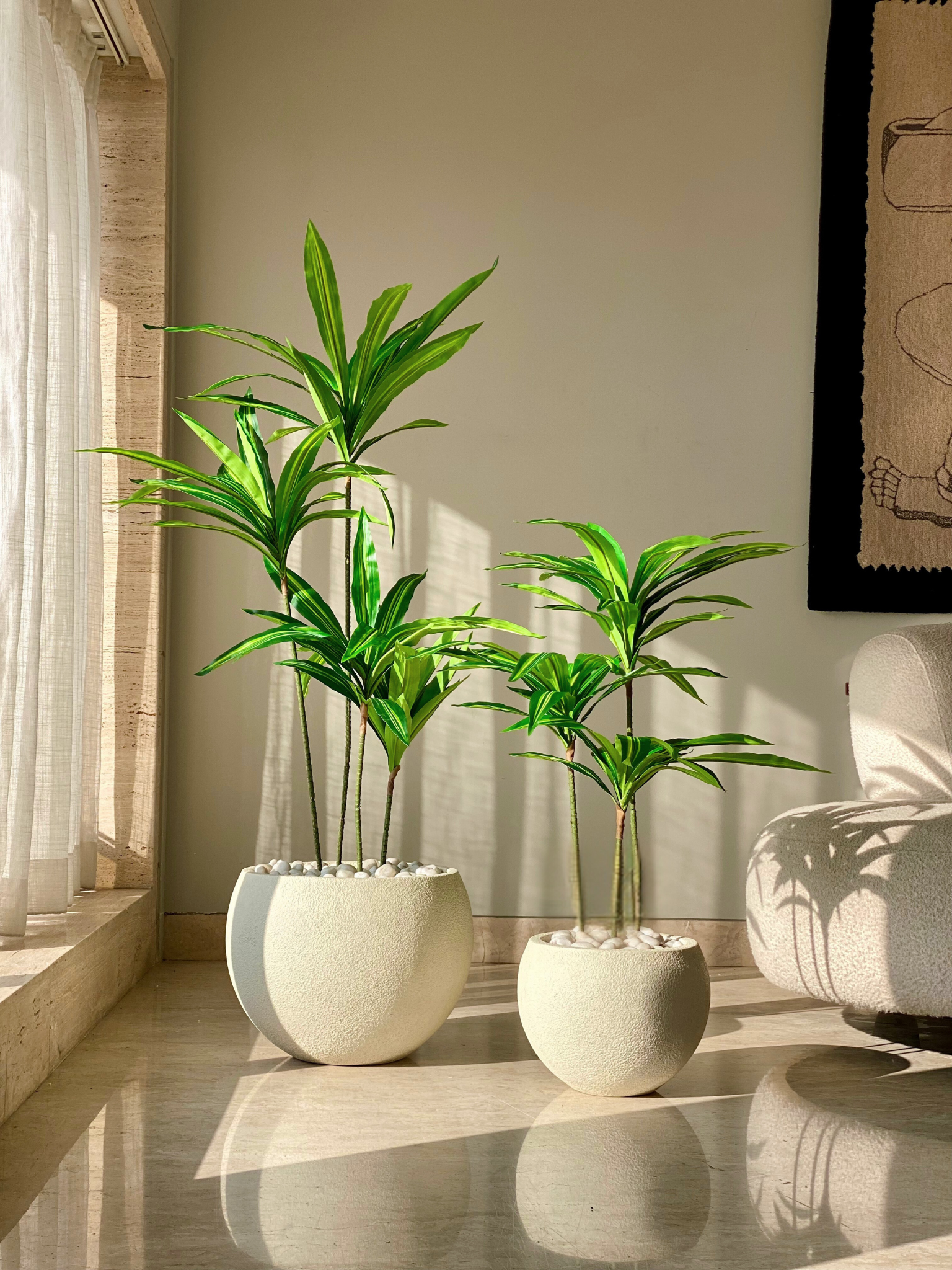 Artificial Botanic Dracaena Plant -  3 Feet