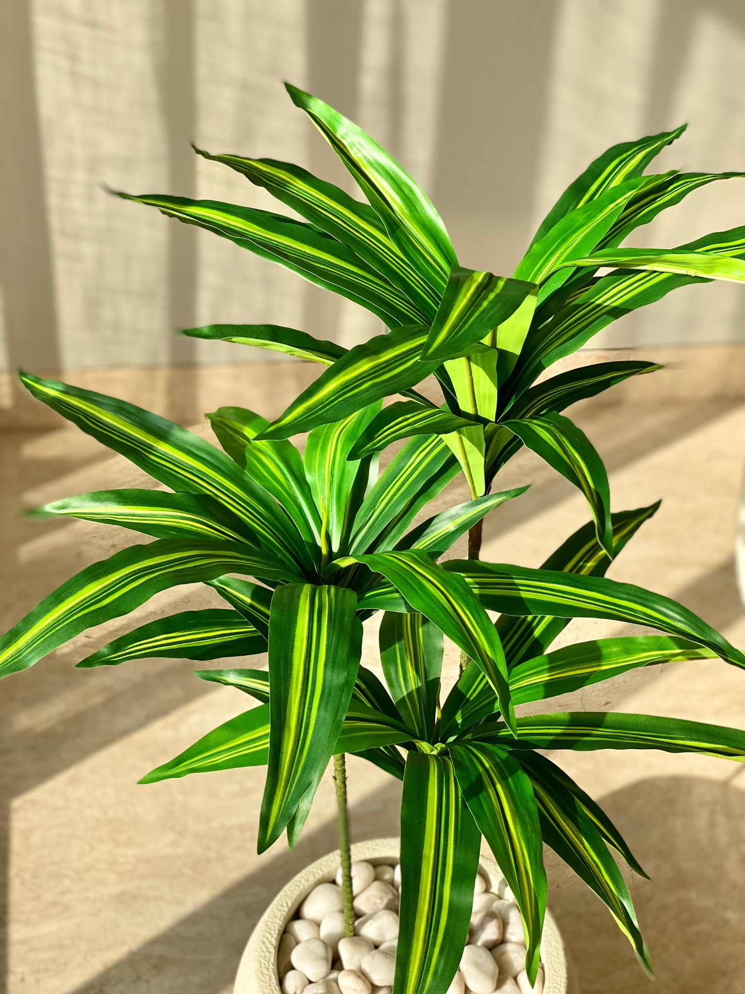 Artificial Botanic Dracaena Plant -  3 Feet