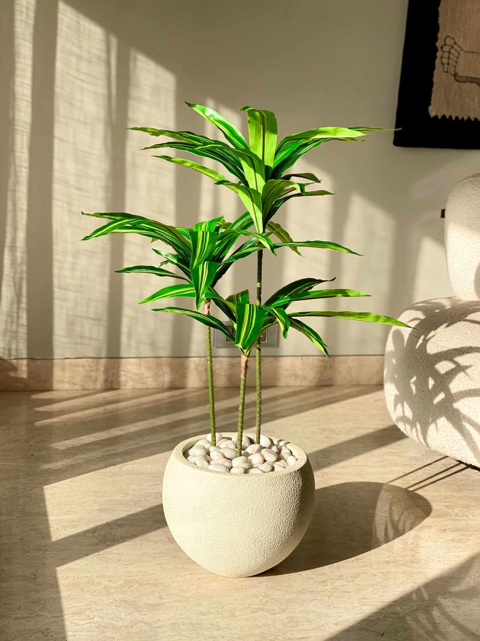 Artificial Botanic Dracaena Plant -  3 Feet