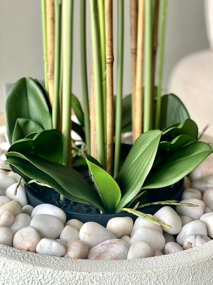 Artificial White Orchid Bloom Plant - 5 Feet