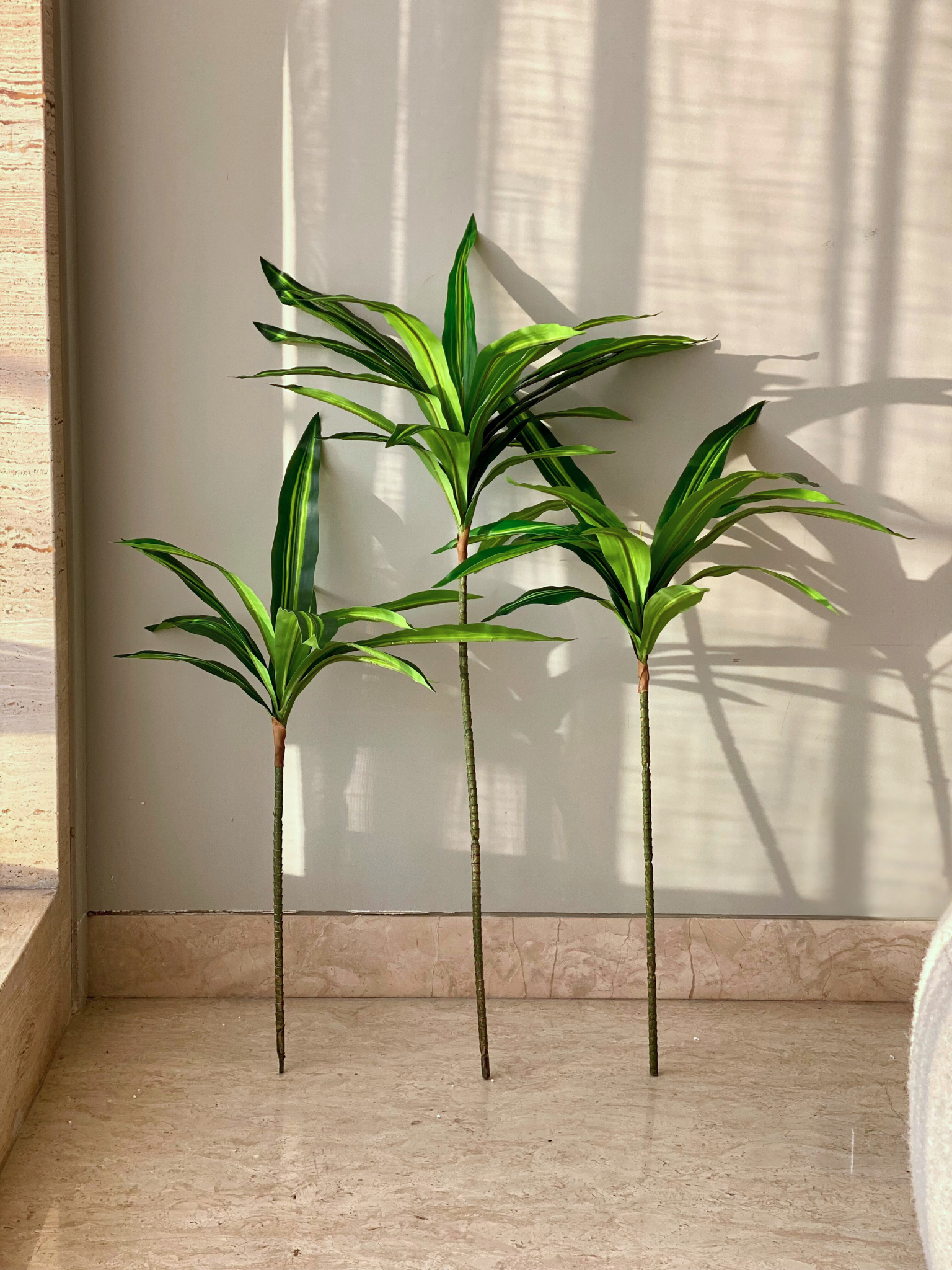 Artificial Botanic Dracaena Plant -  3 Feet