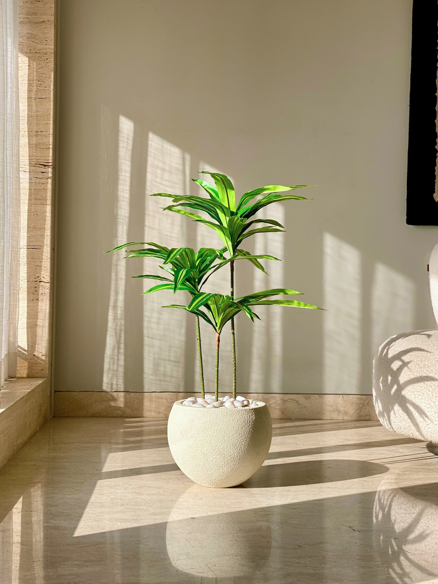 Artificial Botanic Dracaena Plant -  3 Feet