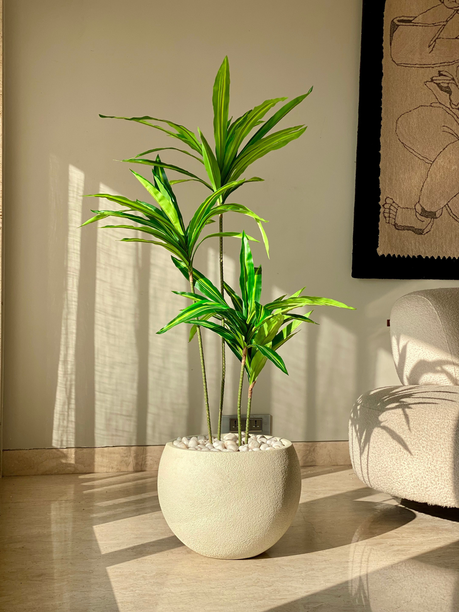 Artificial Botanic Dracaena Plant -  4.5 Feet