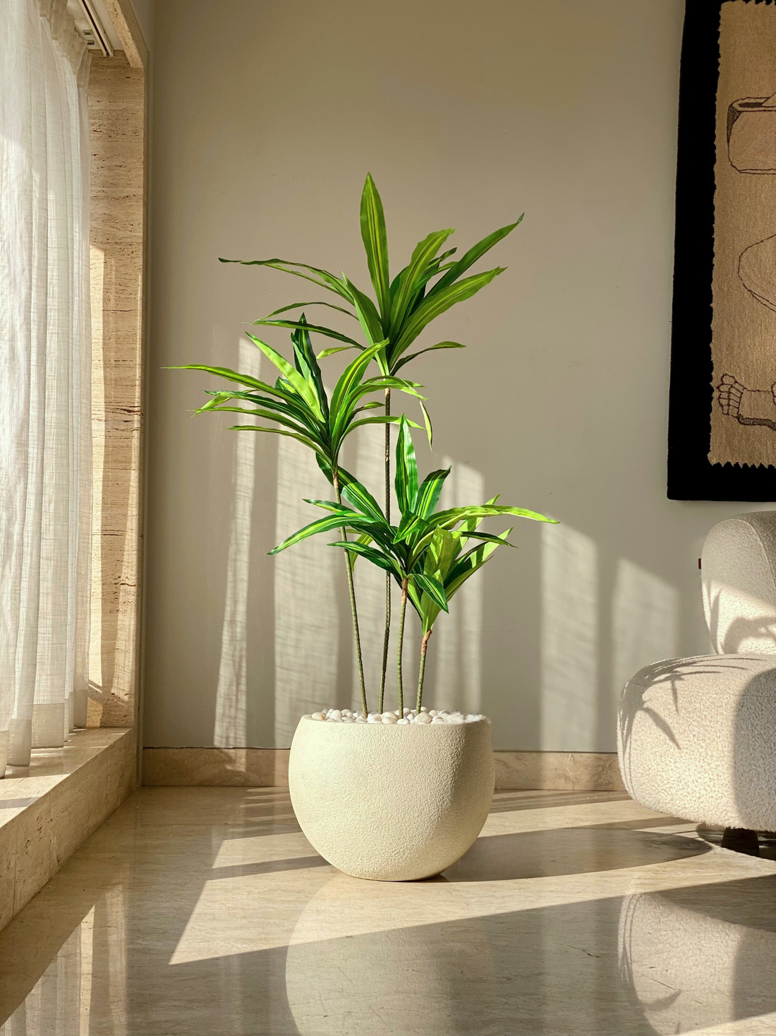 Artificial Botanic Dracaena Plant -  4.5 Feet