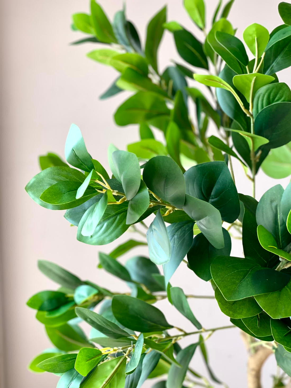 Artificial Serene Peperomia Plant  - 5 Feet