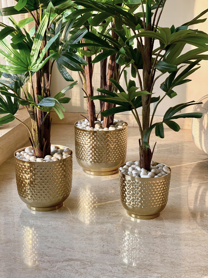 Polka Gold Planters