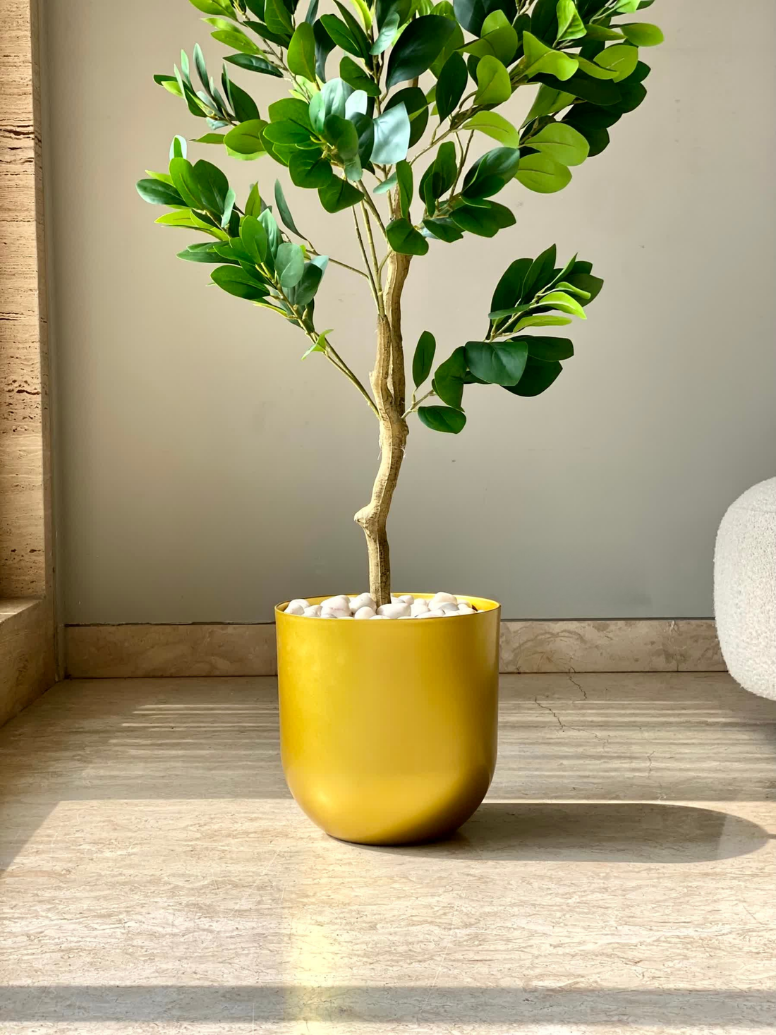 Nuhas Gold Planter - Medium