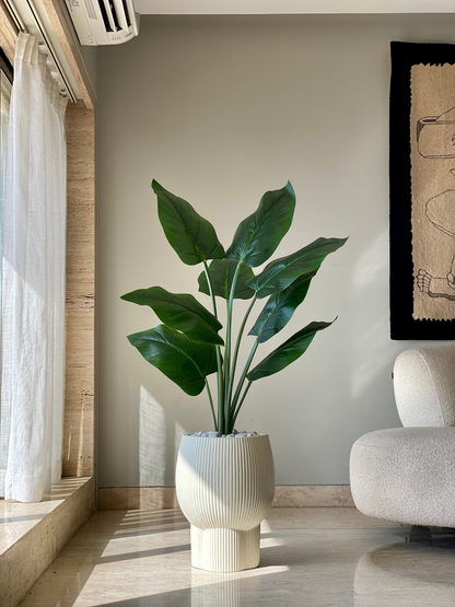 Quito Planters - Ivory