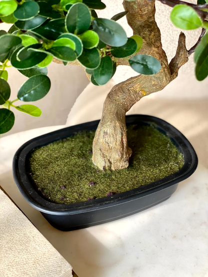 Artificial Wild Bonsai Plant - 1.5 Feet