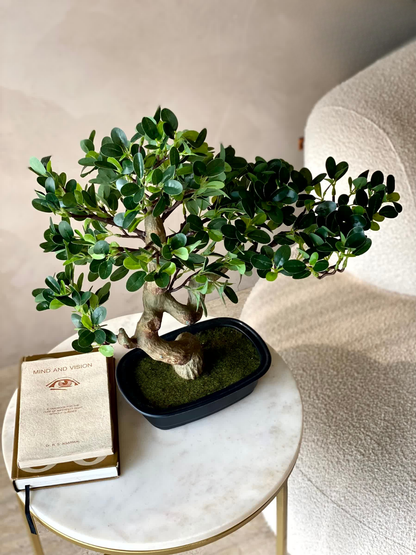 Artificial Wild Bonsai Plant - 1.5 Feet