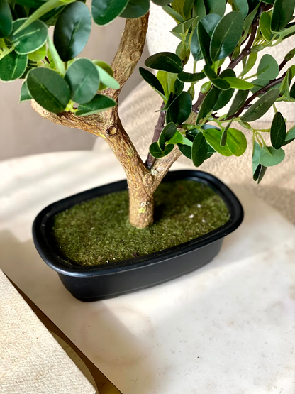 Artificial Chinese Boxwood Plant - 1.3 Feet