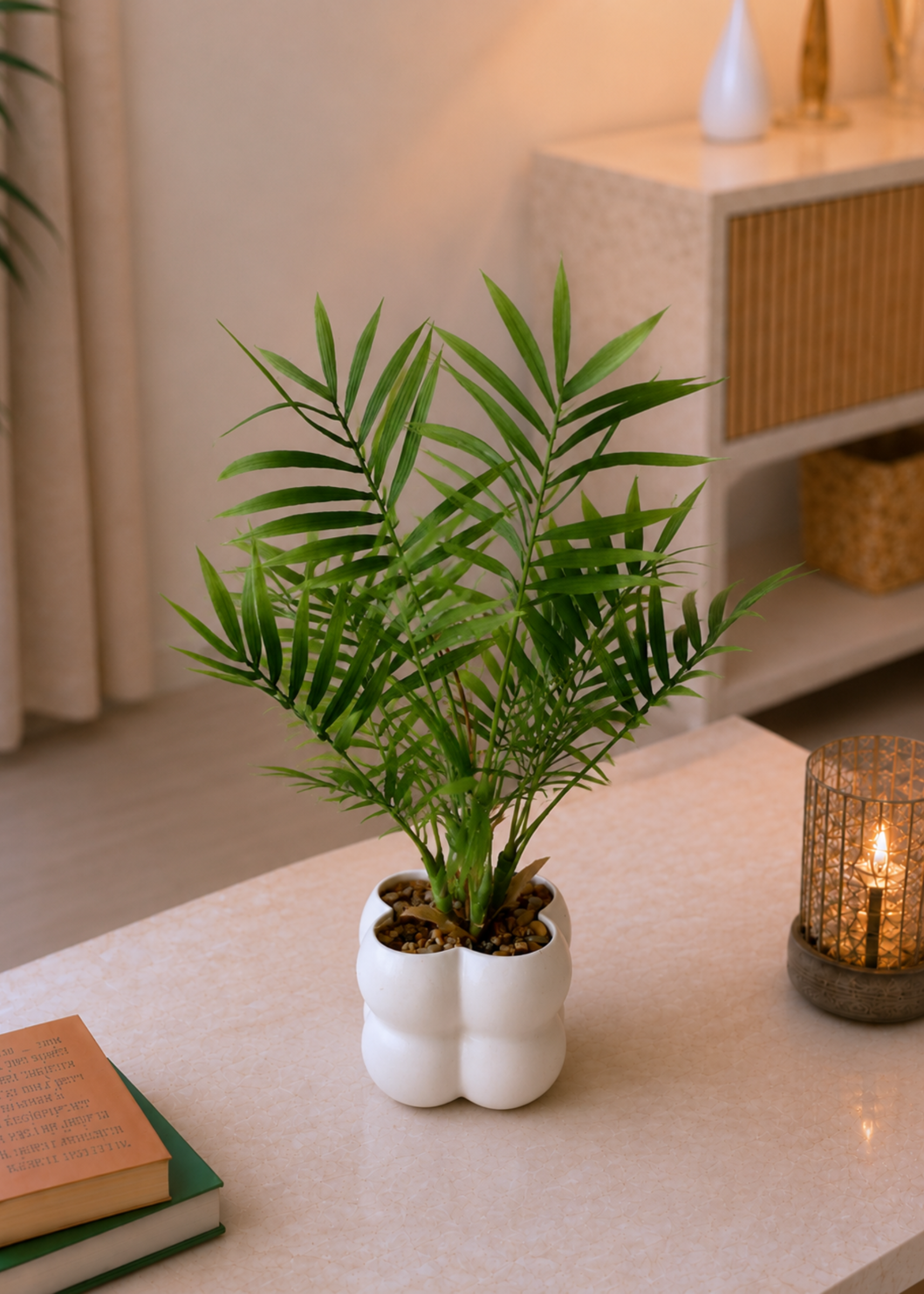 Nova Palm Planter