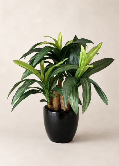 Artificial Dracaena Bonsai Plant - 1 Feet