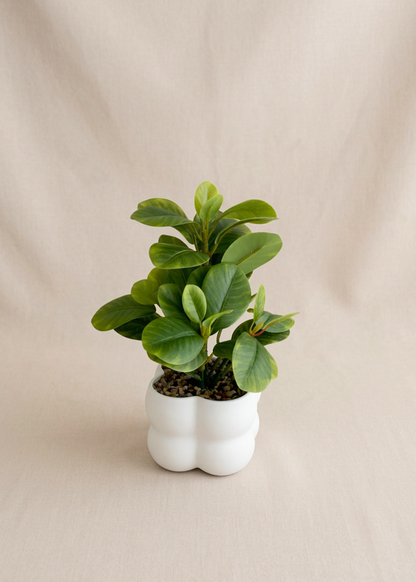 Artificial Peperomia Plant