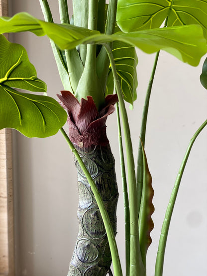 Artificial Evergreen Alocasia Plant - 5 Feet