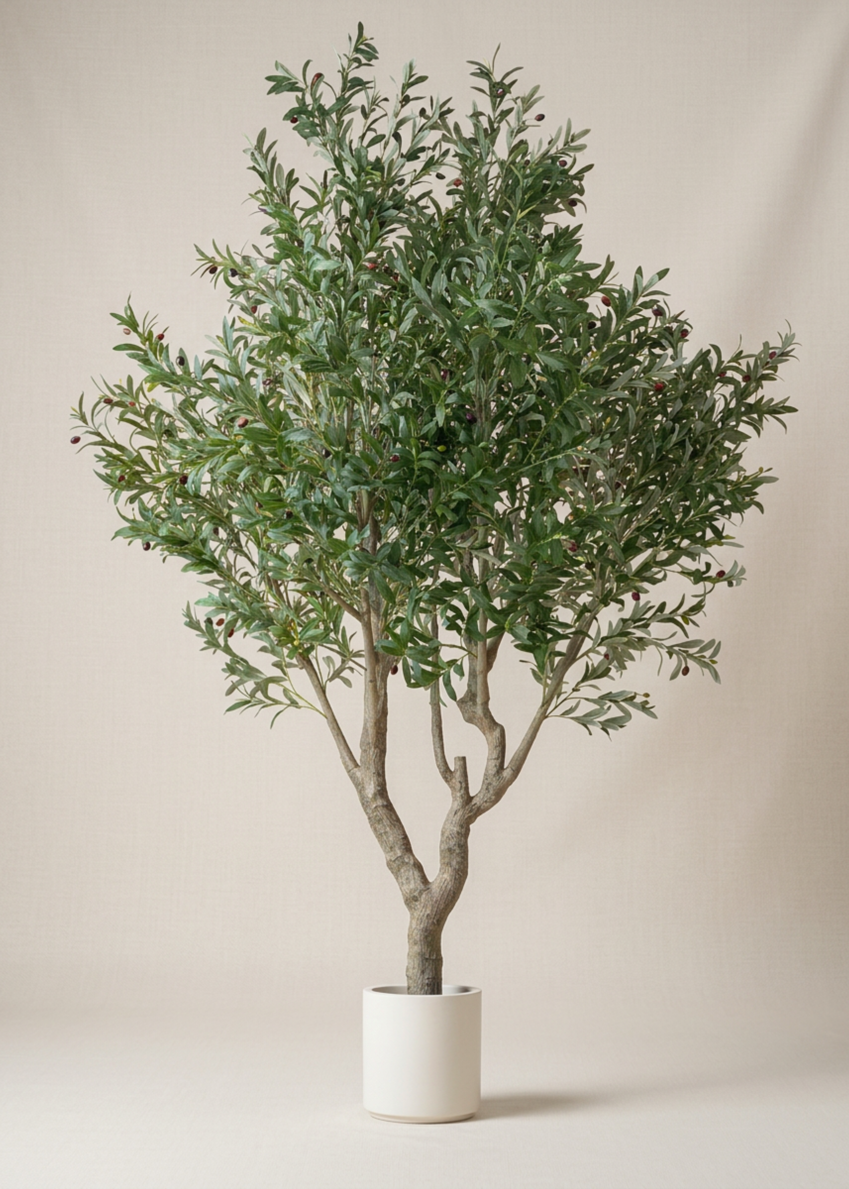 Artificial Olive Allure Plant -  8 Feet