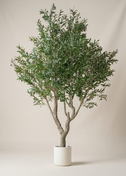 Artificial Olive Allure Plant -  8 Feet