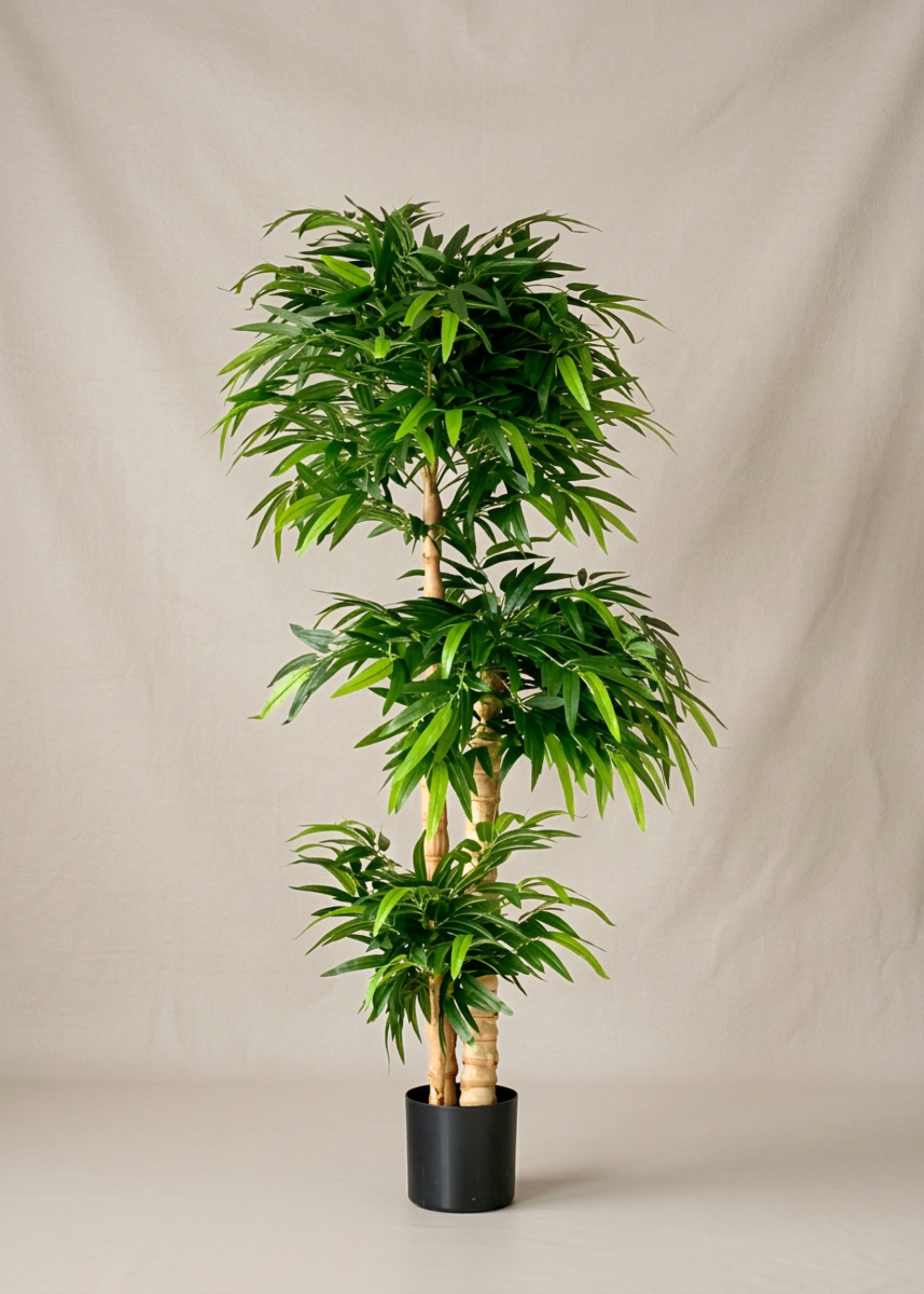 Artificial Timber Bamboo Plant - 6 Feet