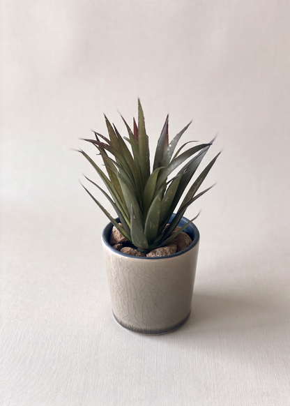 Artificial Succulent Agave Plant