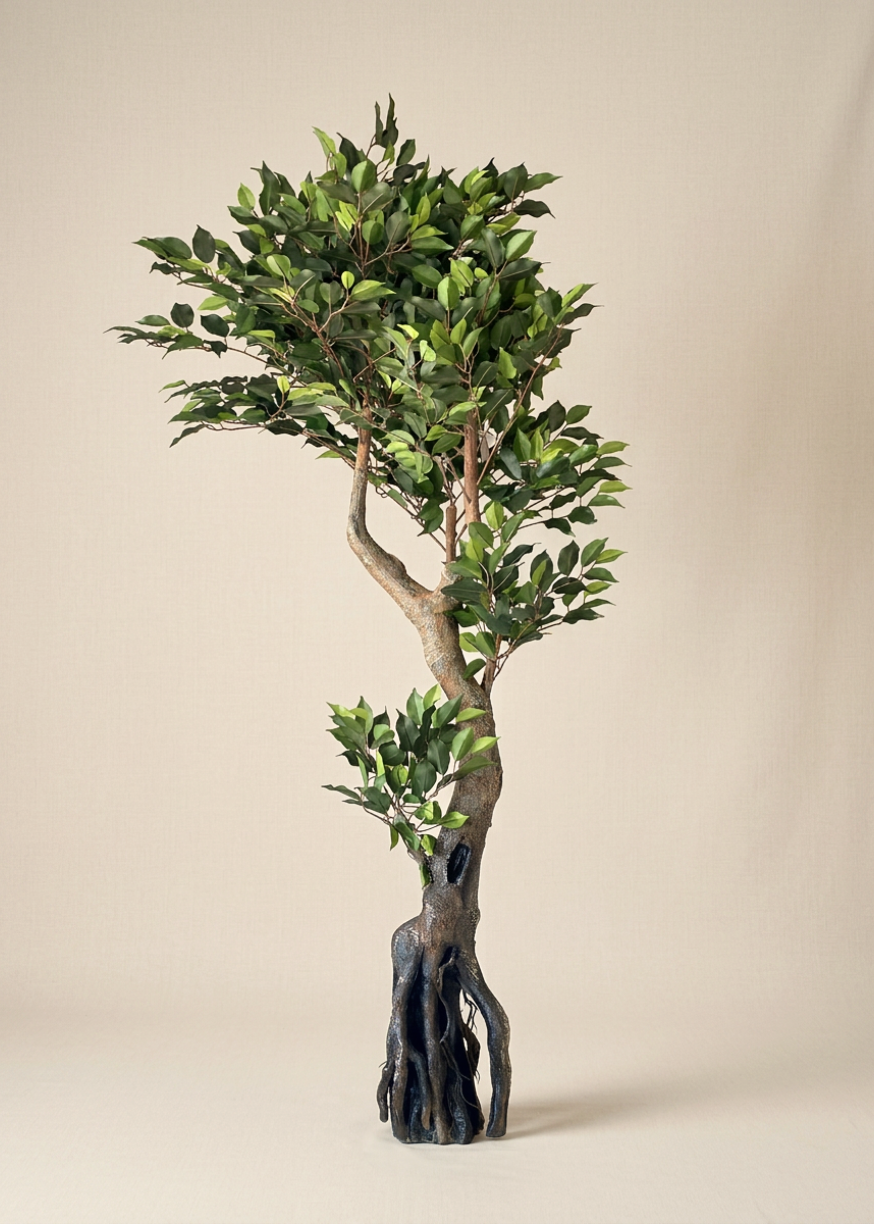 Artificial Twirled Ficus Tree - 6 Feet