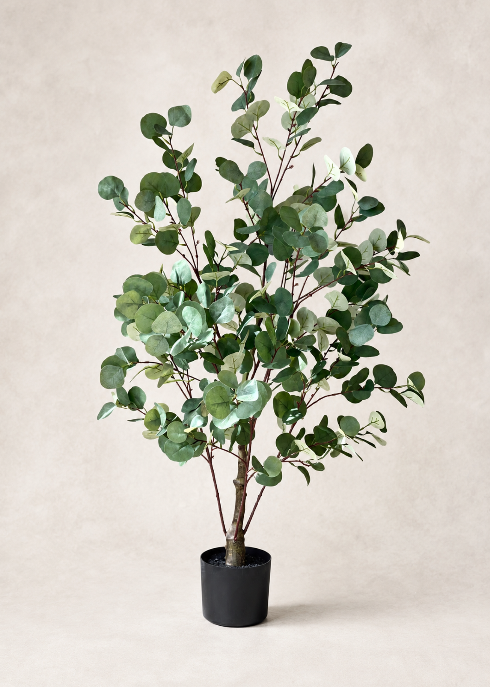 Artificial Eucalyptus Plant - 4 Feet