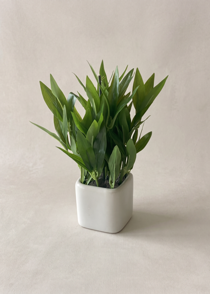 Artificial Evergreen Tabletop Plant