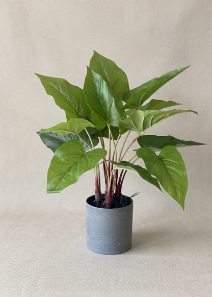 Artificial Green Pothos Plant - 1.5 Feet