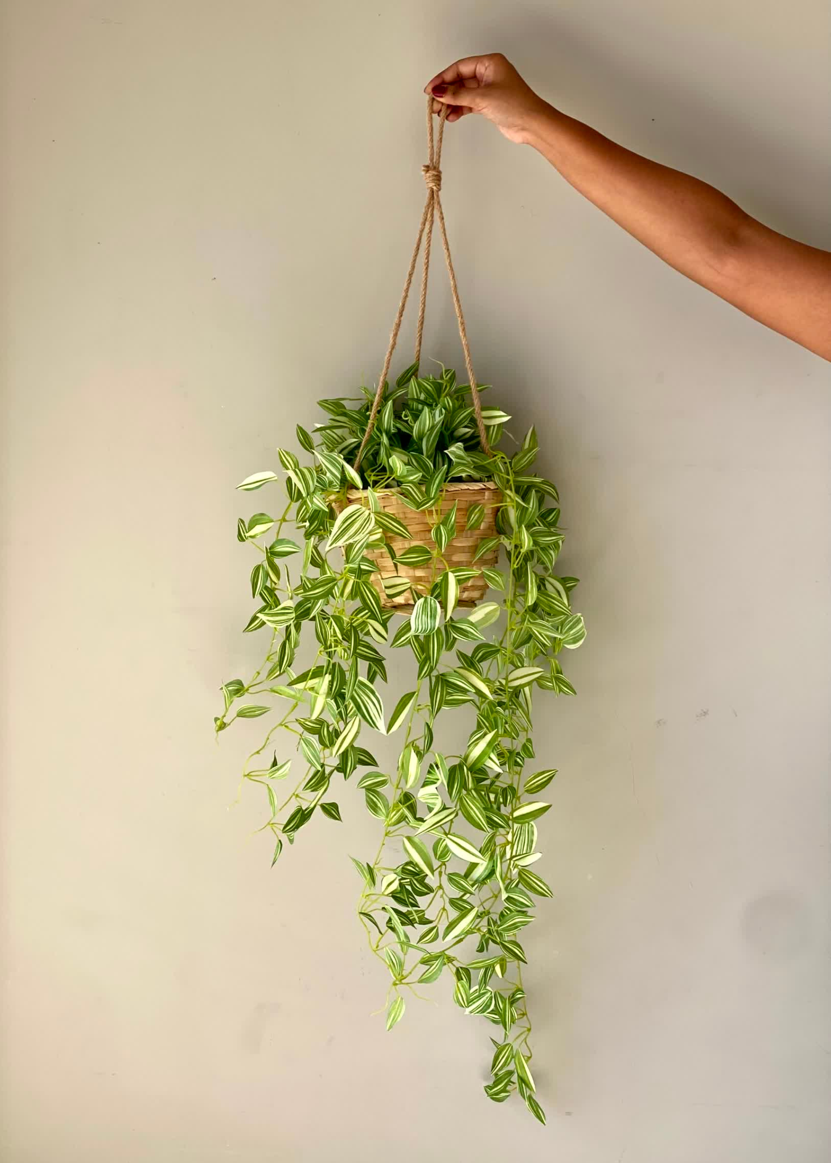 Artficial Wandering Jew Hanging Plant