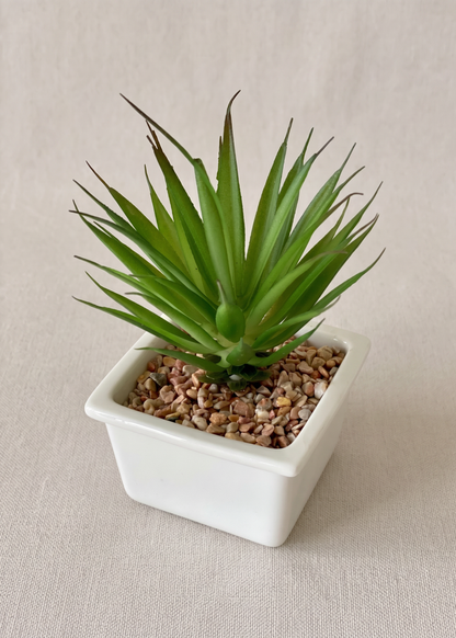 Artificial Haworthia Tabletop Plant
