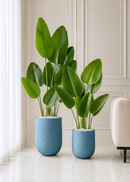 Lassa Planters - Sky Blue