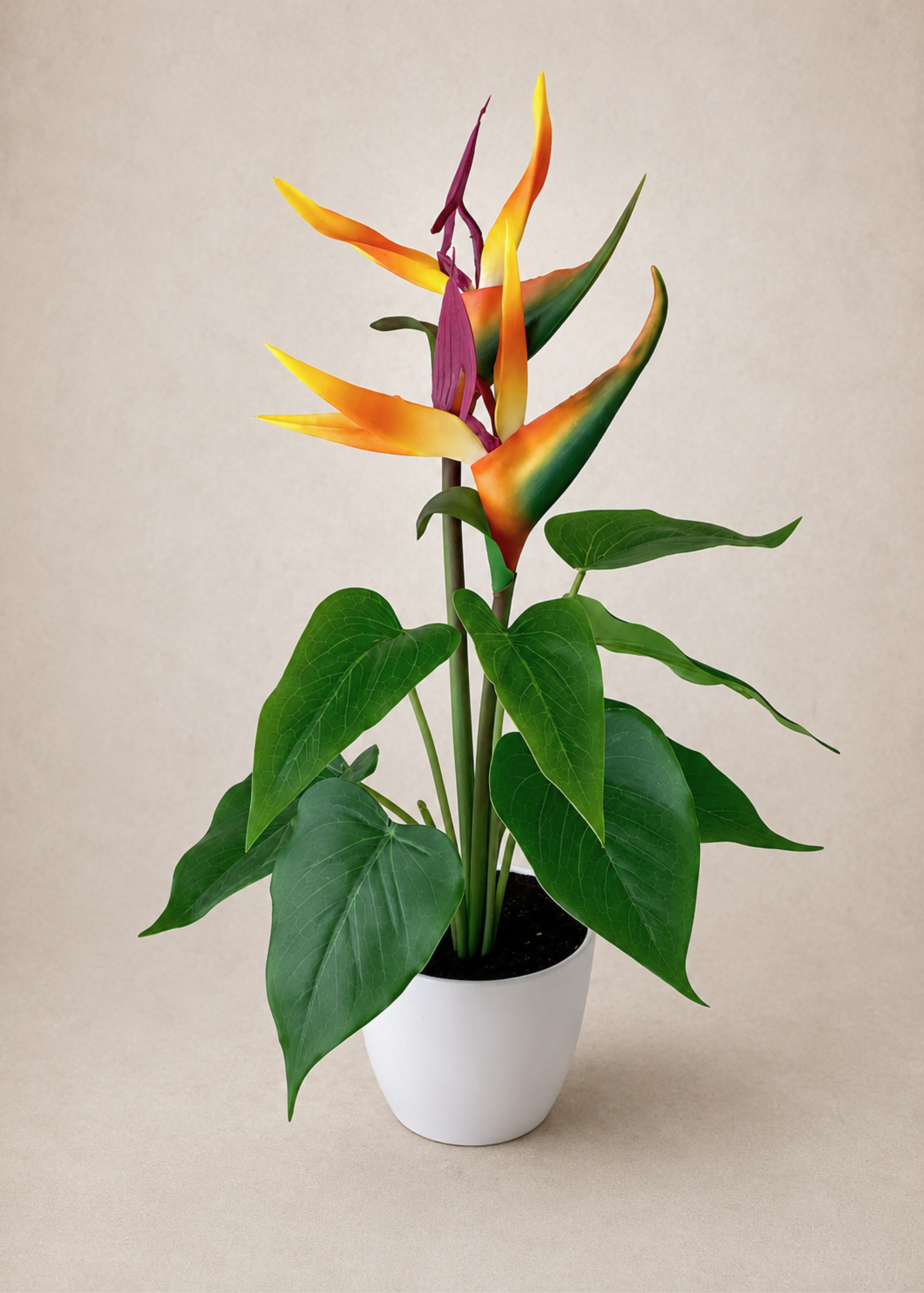 Artificial Strelitzia Paradise Plant - 1.4 Feet