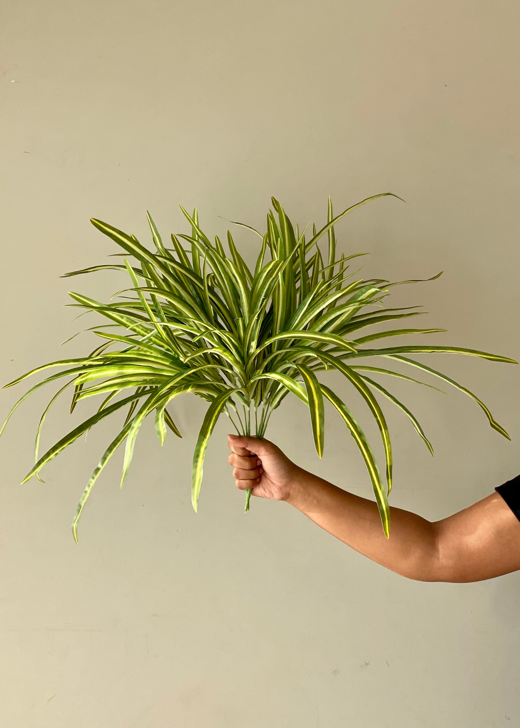 Artificial Yucca Dracenna Bunch Plant - Set of 2