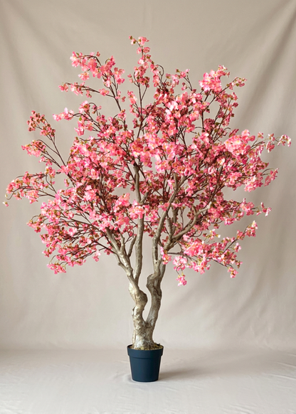 Artificial Blush Cherry Blossom Plant - 6.5 Feet